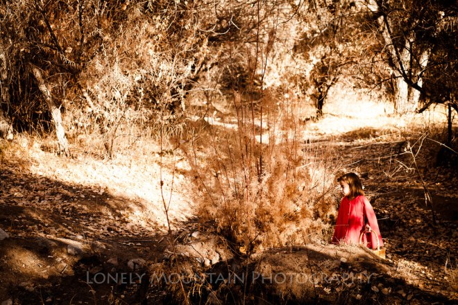 little red rding hood 6