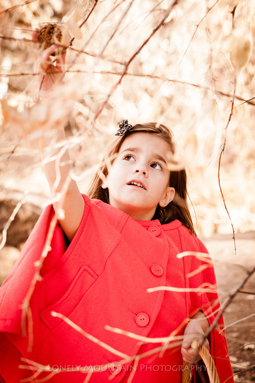 little red riding hood 5