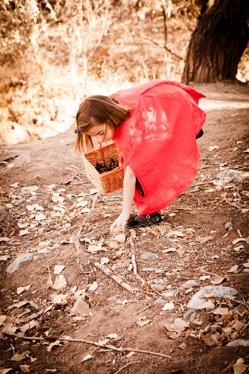 little red riding hood3