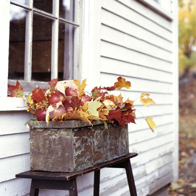 6810bd0bc8f56c1e25bcdf1ab926f5d2