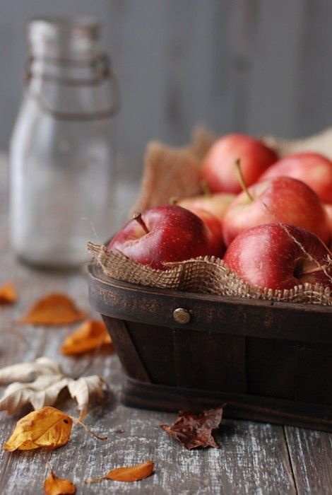 9895f8c22e1ddabc140ce930e982c15a