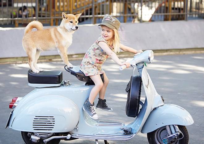 864ed13af938ad9e8f275c3b6493e988